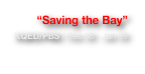 “Saving the Bay”
KQED/PBS / Dec 08 - Jan 09